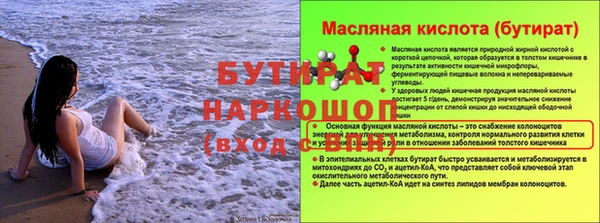 шишки Горно-Алтайск