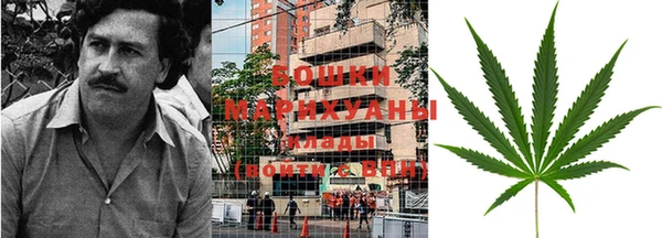 шишки Горно-Алтайск