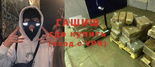 шишки Горно-Алтайск