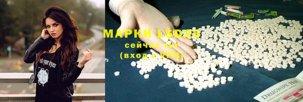шишки Горно-Алтайск
