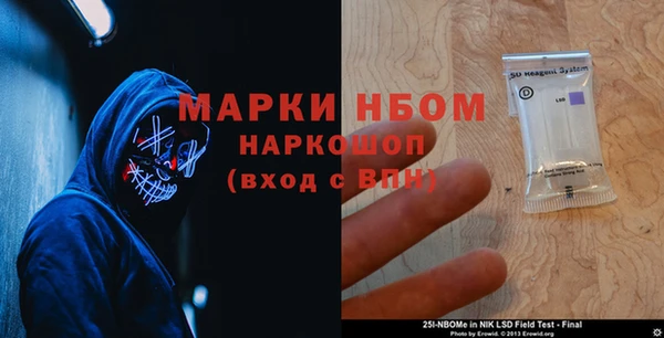шишки Горно-Алтайск