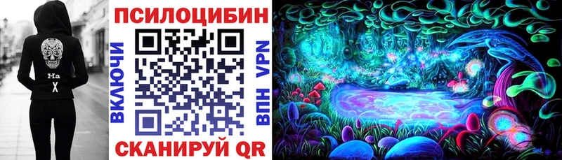 Галлюциногенные грибы мицелий  где продают наркотики  Зеленогорск 