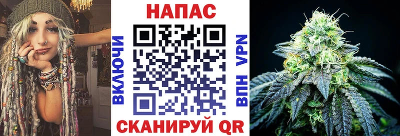 магазин  наркотиков  Зеленогорск  МАРИХУАНА VHQ 